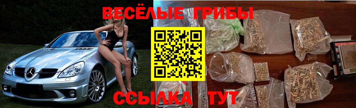 Галлюциногенные грибы GOLDEN TEACHER Лянтор