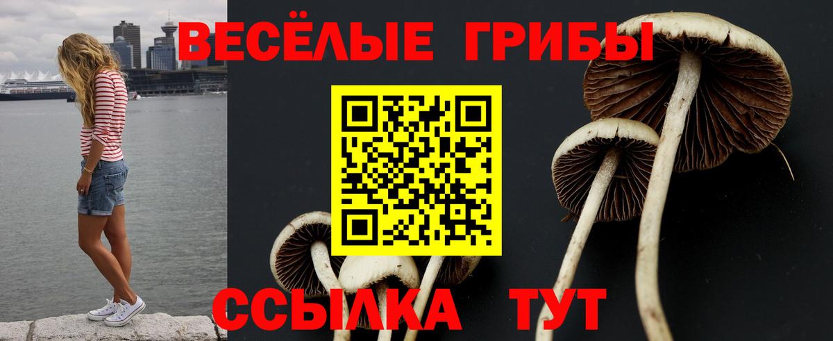 Лянтор  Галлюциногенные грибы MAGIC MUSHROOMS  купить наркотики цена  Псилоцибиновые грибы прущие грибы  Вход с VPN 